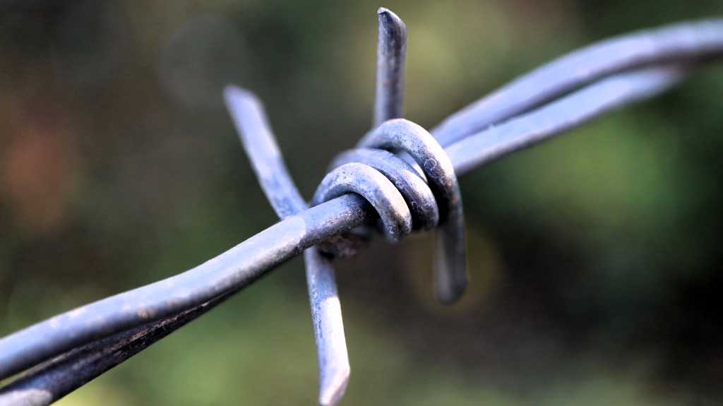 Barbed Wire 16z9